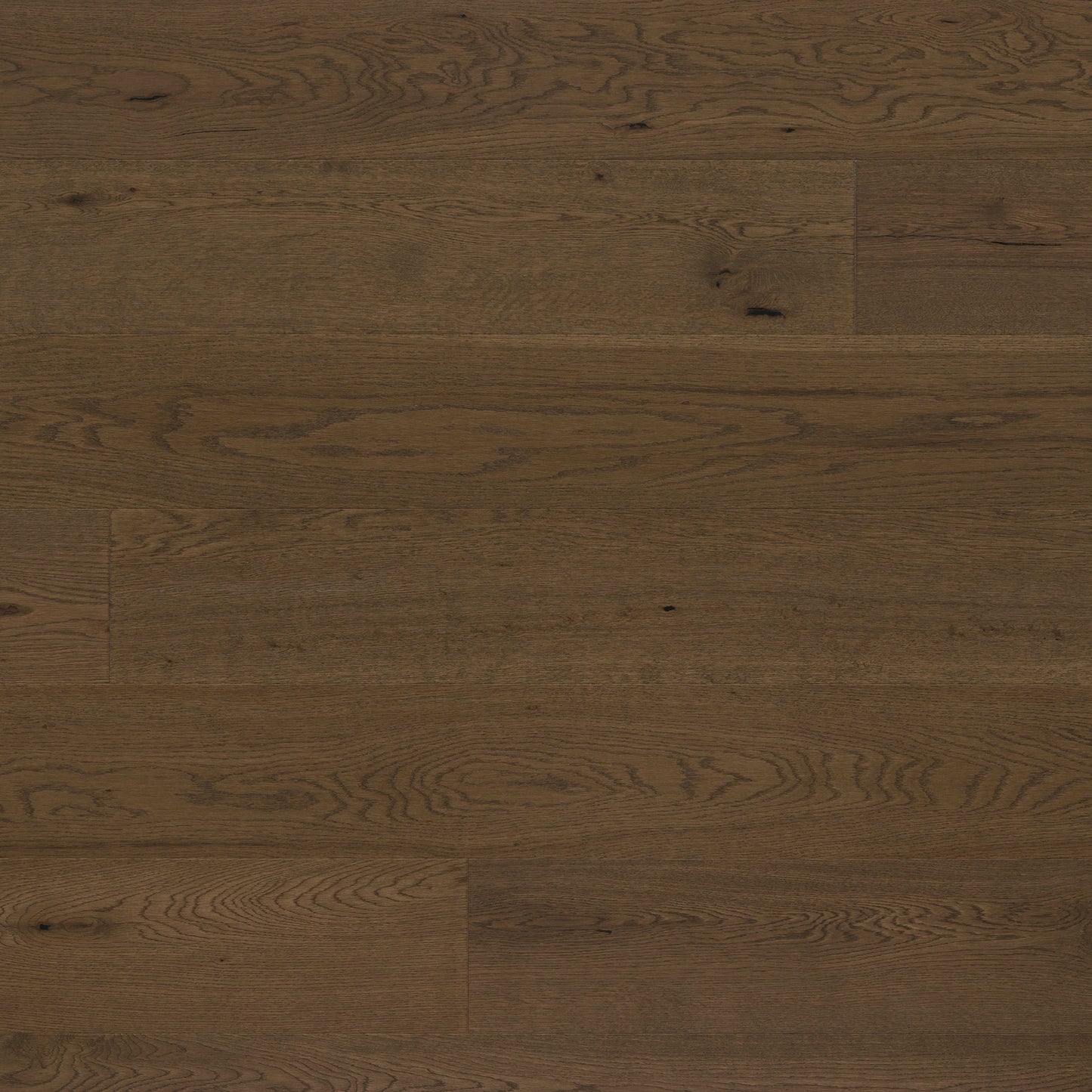 Abode by Kentwood: Tempo in Incense Hardwood