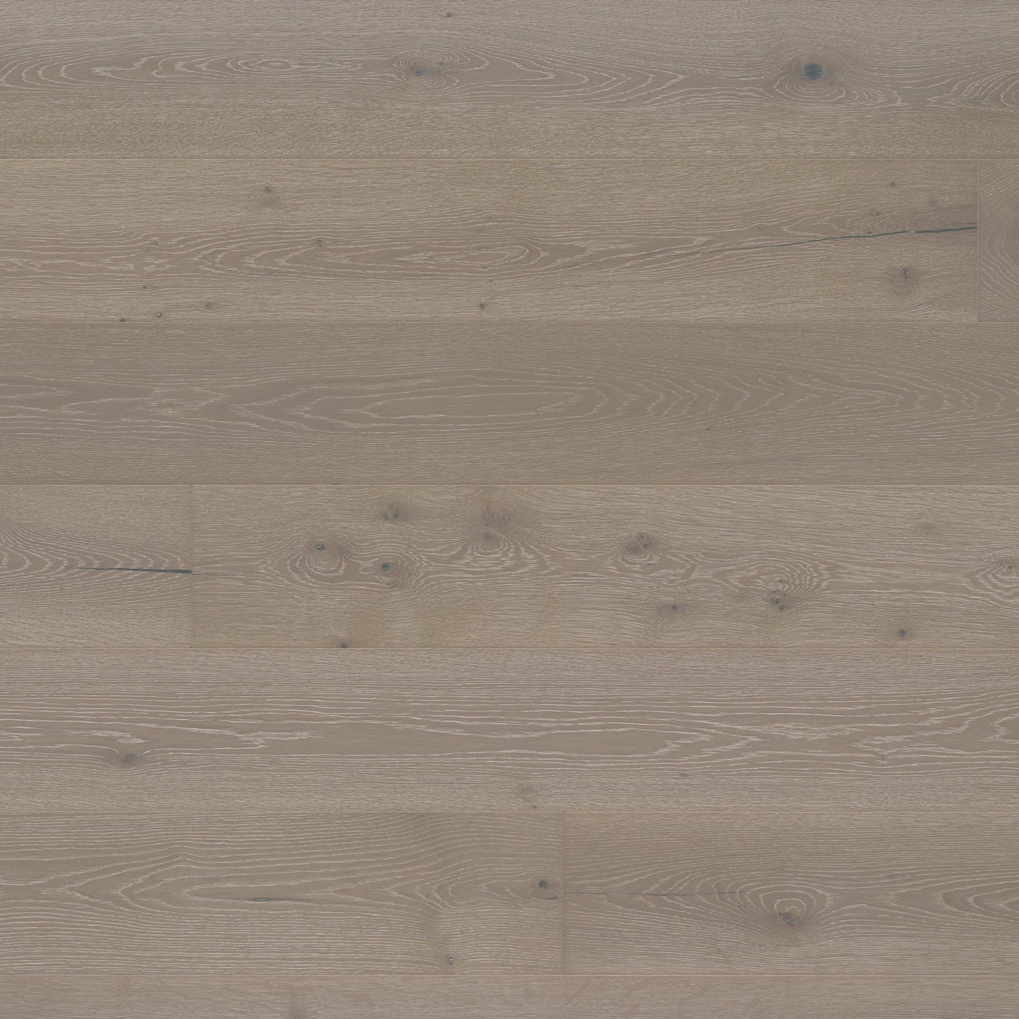 Abode by Kentwood: Elan in Lighthearted Hardwood