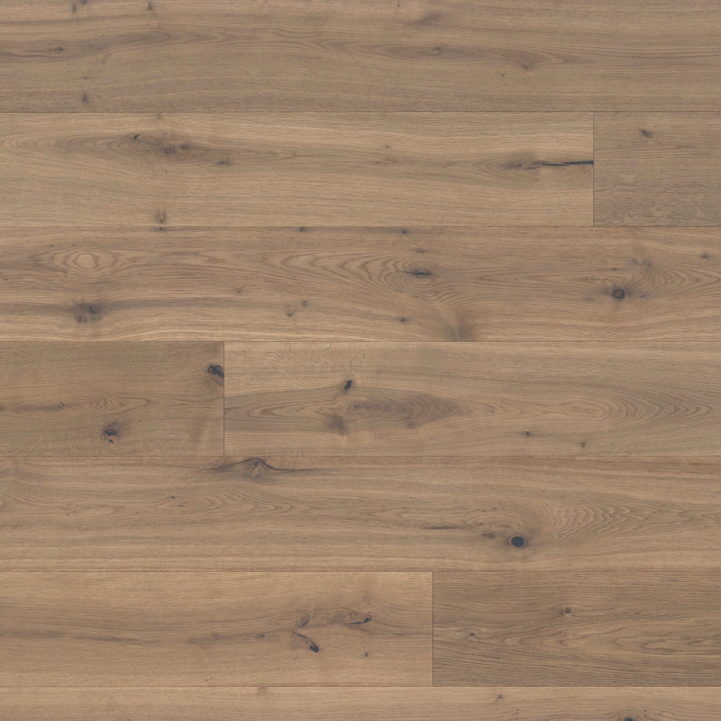 Kentwood Collection: Concert Hall in Alto Hardwood
