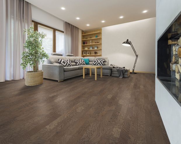 Modern Chic in Chicago Oak