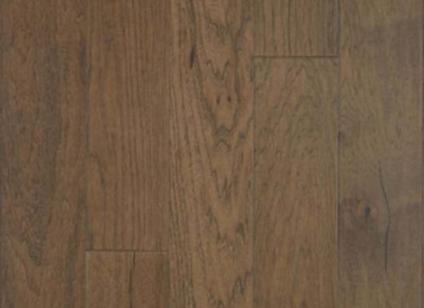 North Hills in Trail Blaze Hickory