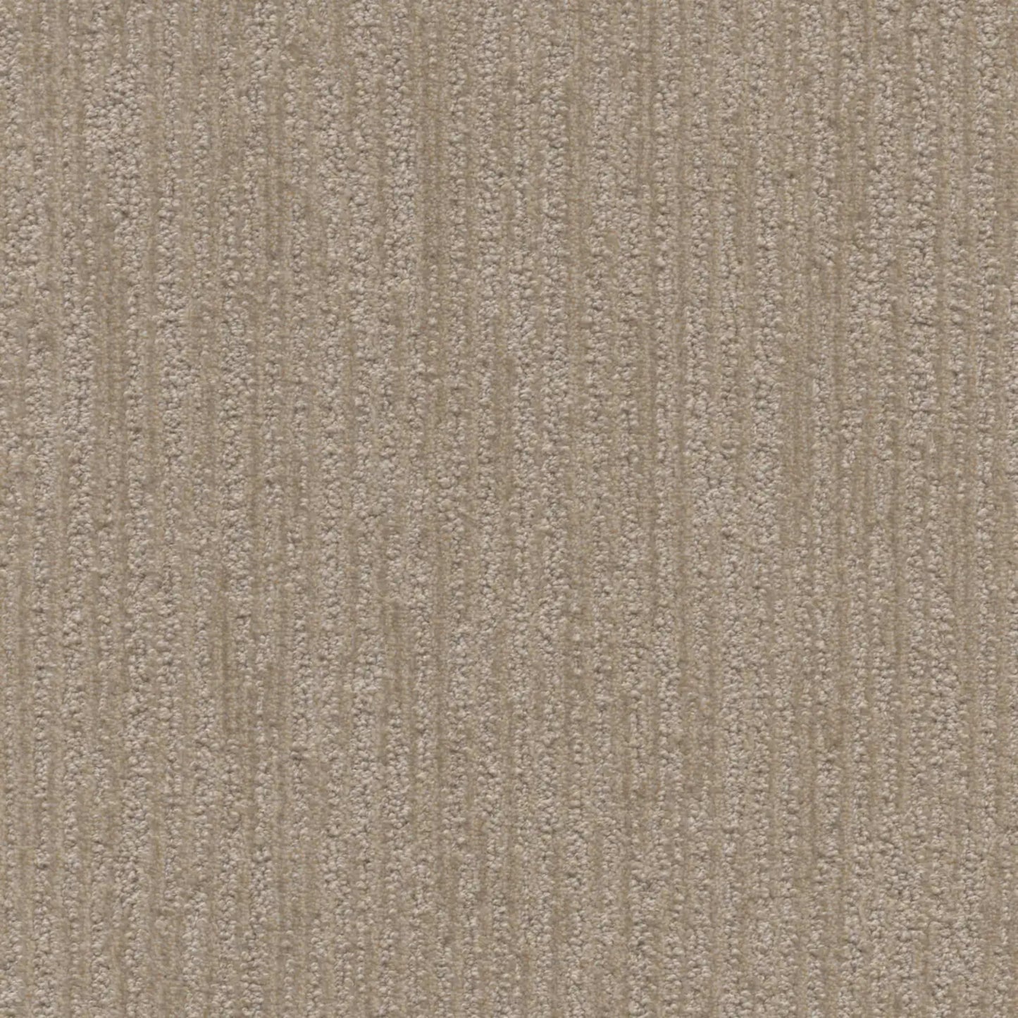 Venetian in Milk & Honey Carpet