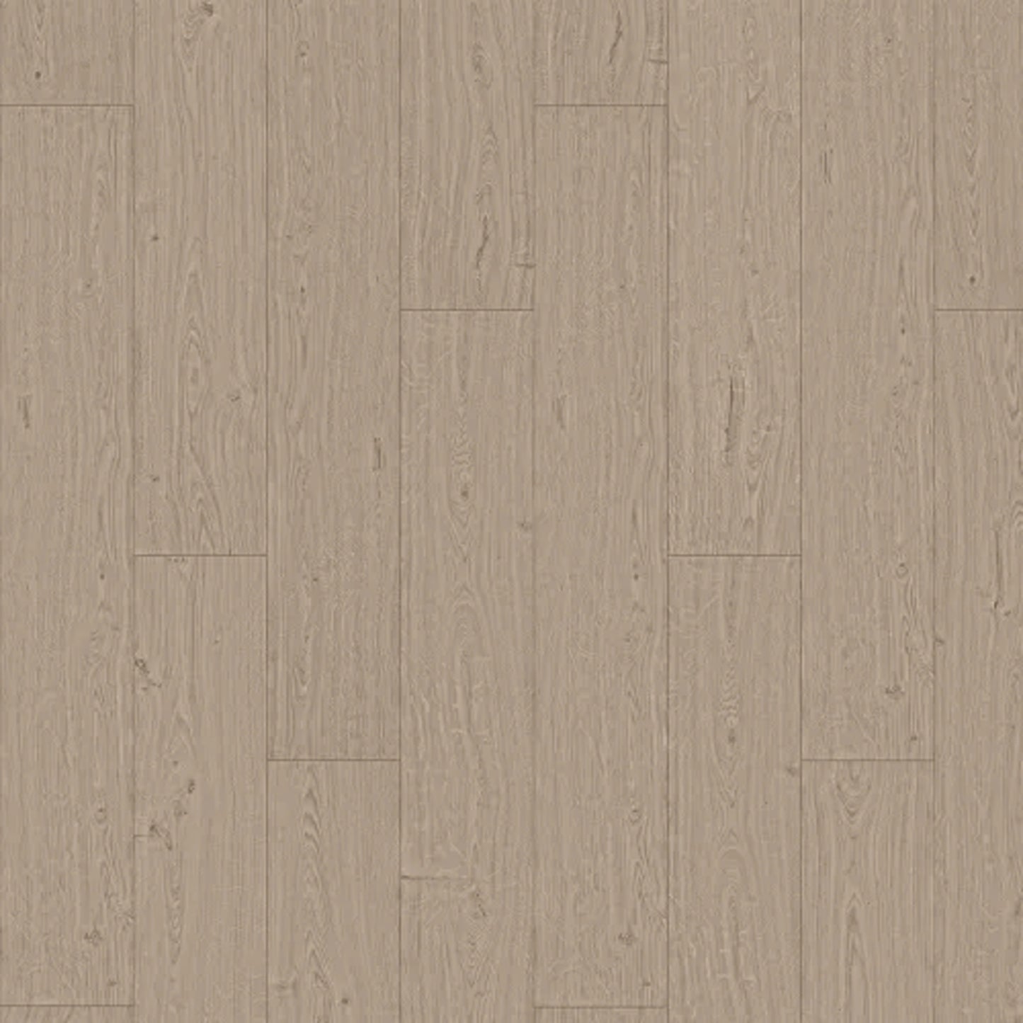 Pearl City in Tranquil Fog Oak Laminate