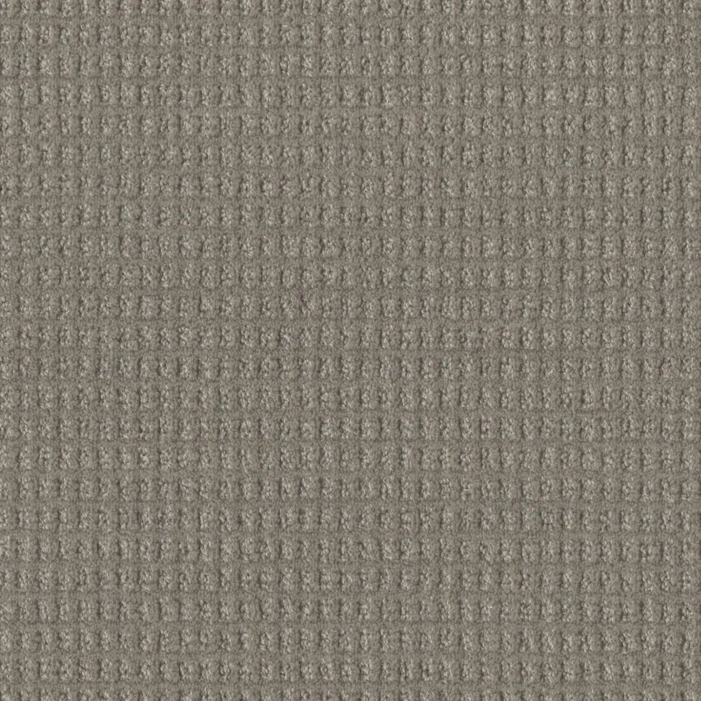 Perfect Balance in Lodgestone Carpet