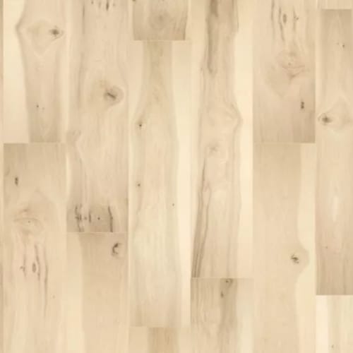 Hubbard in Sugared Hickory
