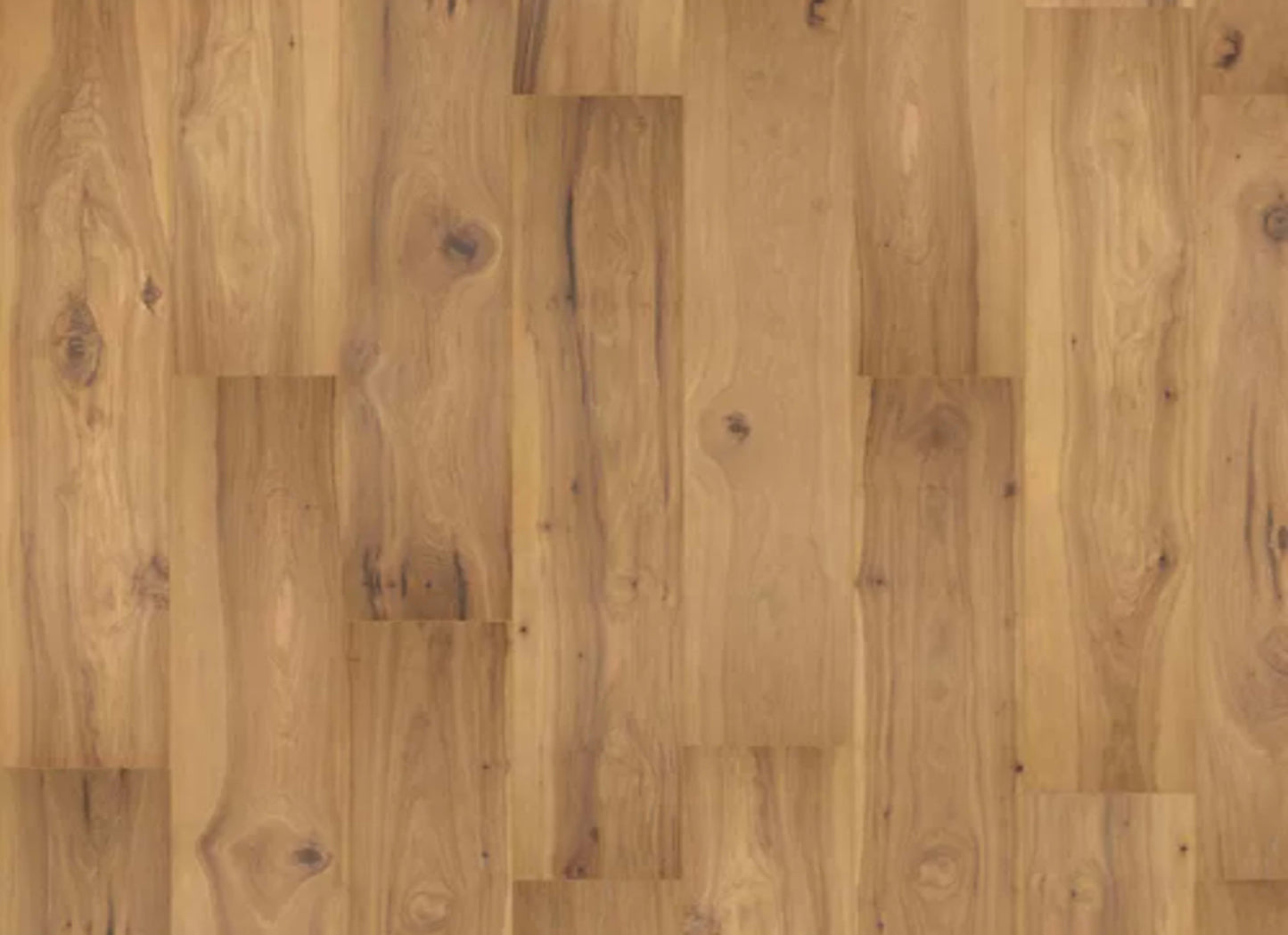 Prestano in Nutshell Hickory