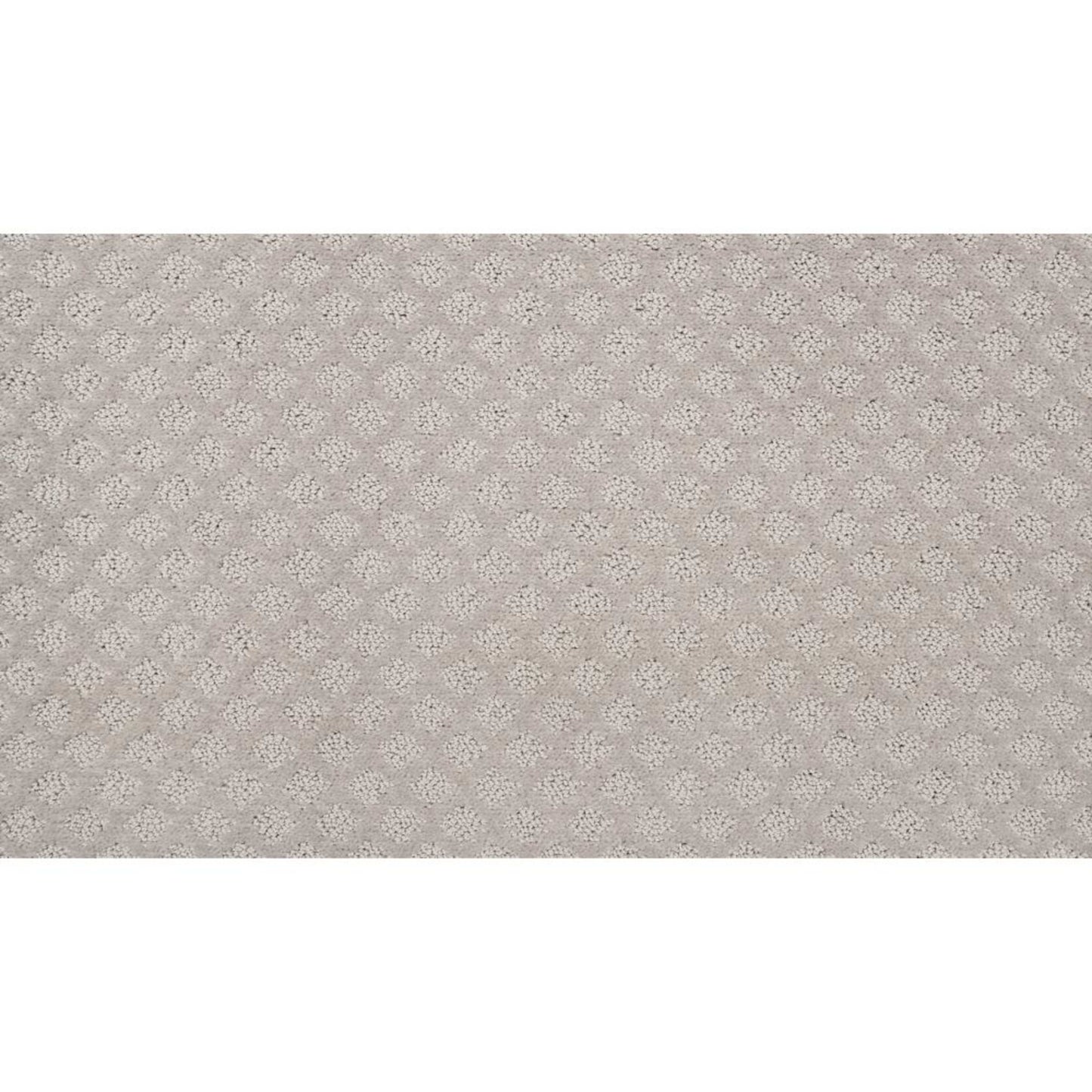 True Match Ii in Stardust Carpet