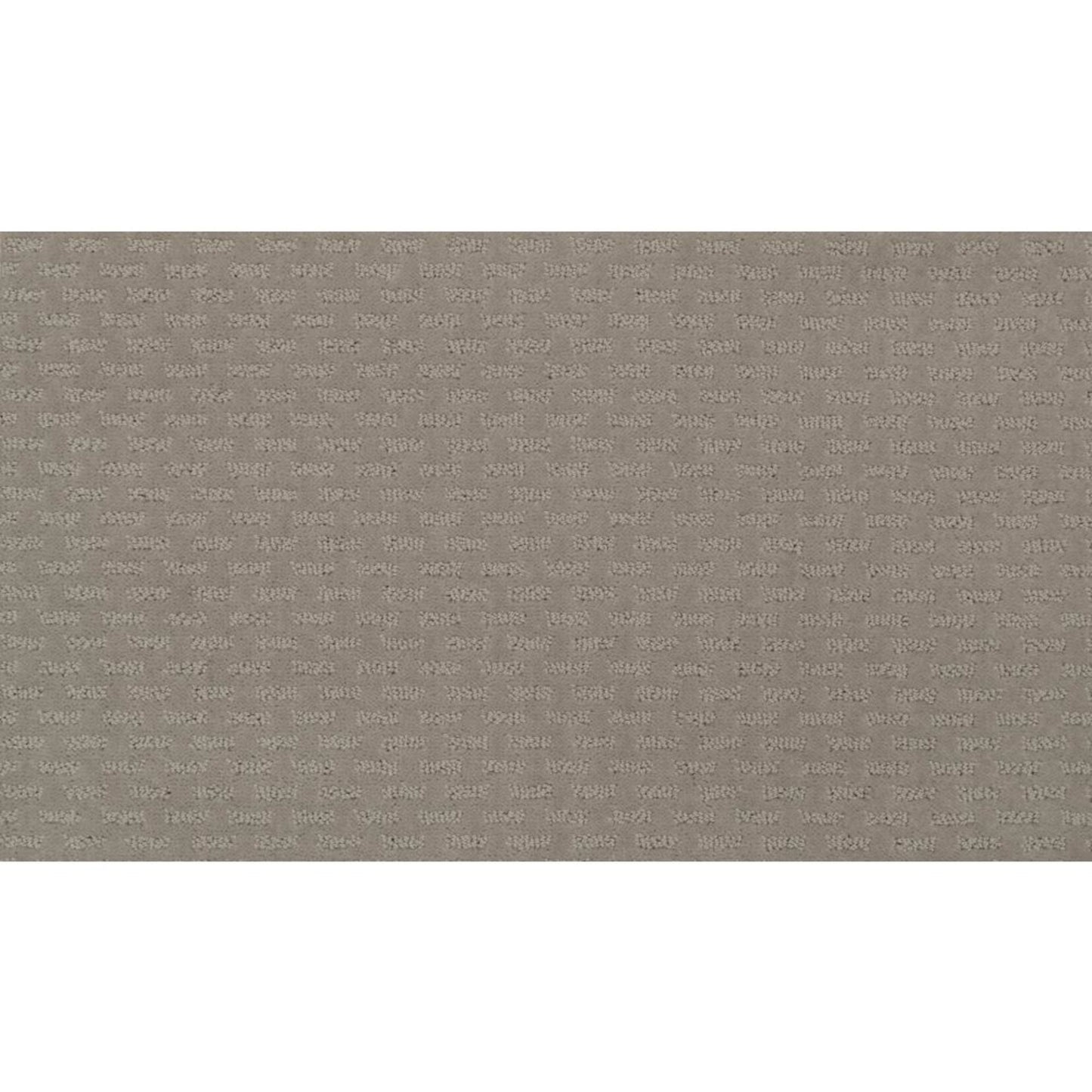 Well Rounded Ii in Reflections Carpet