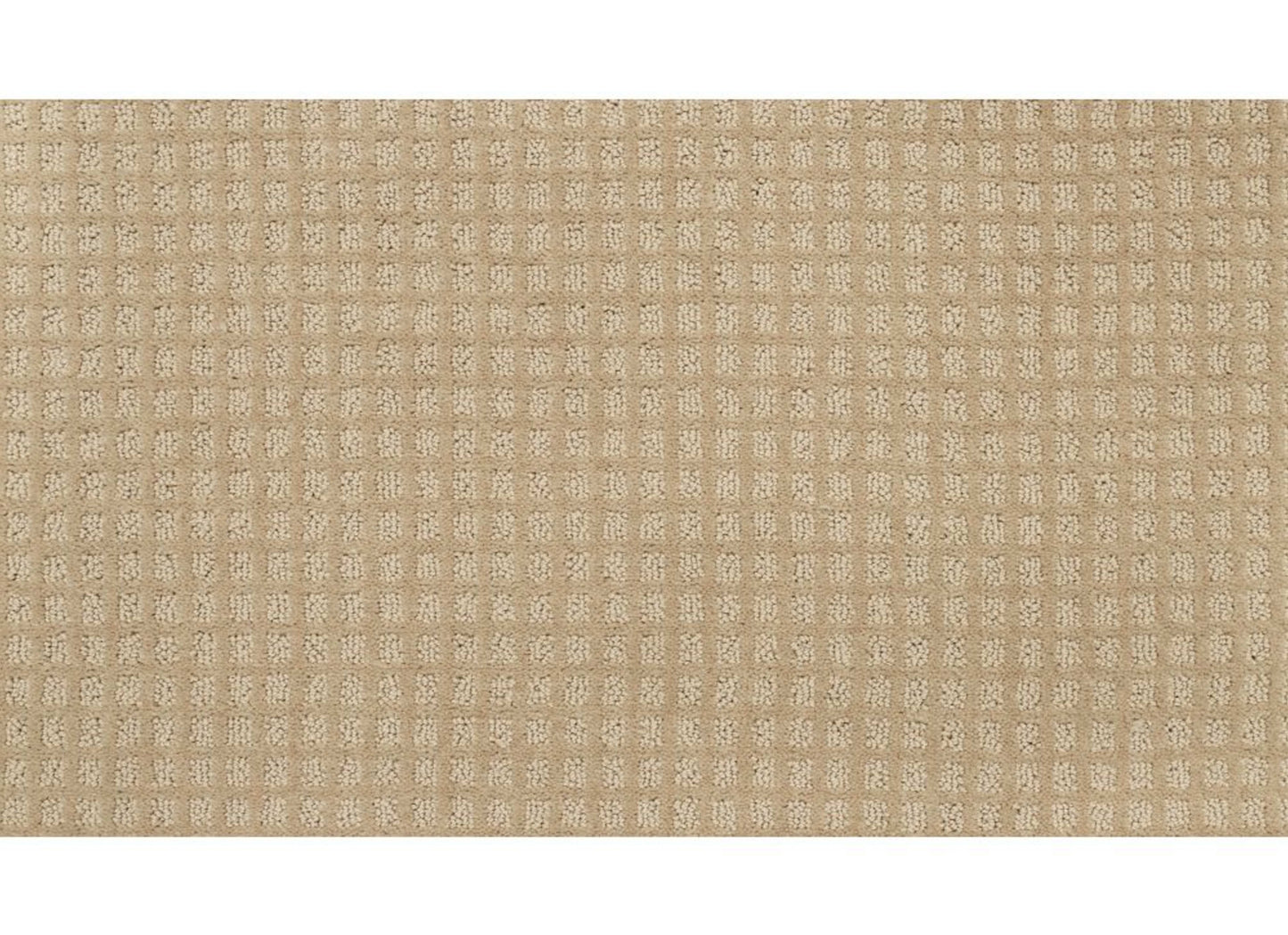 Magnetic Form Ii