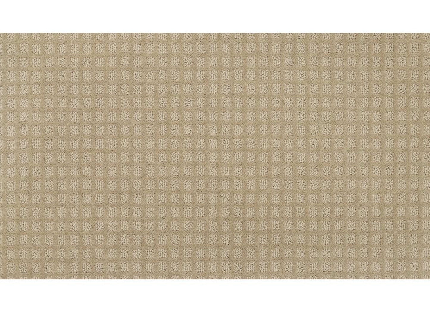 Magnetic Form Ii