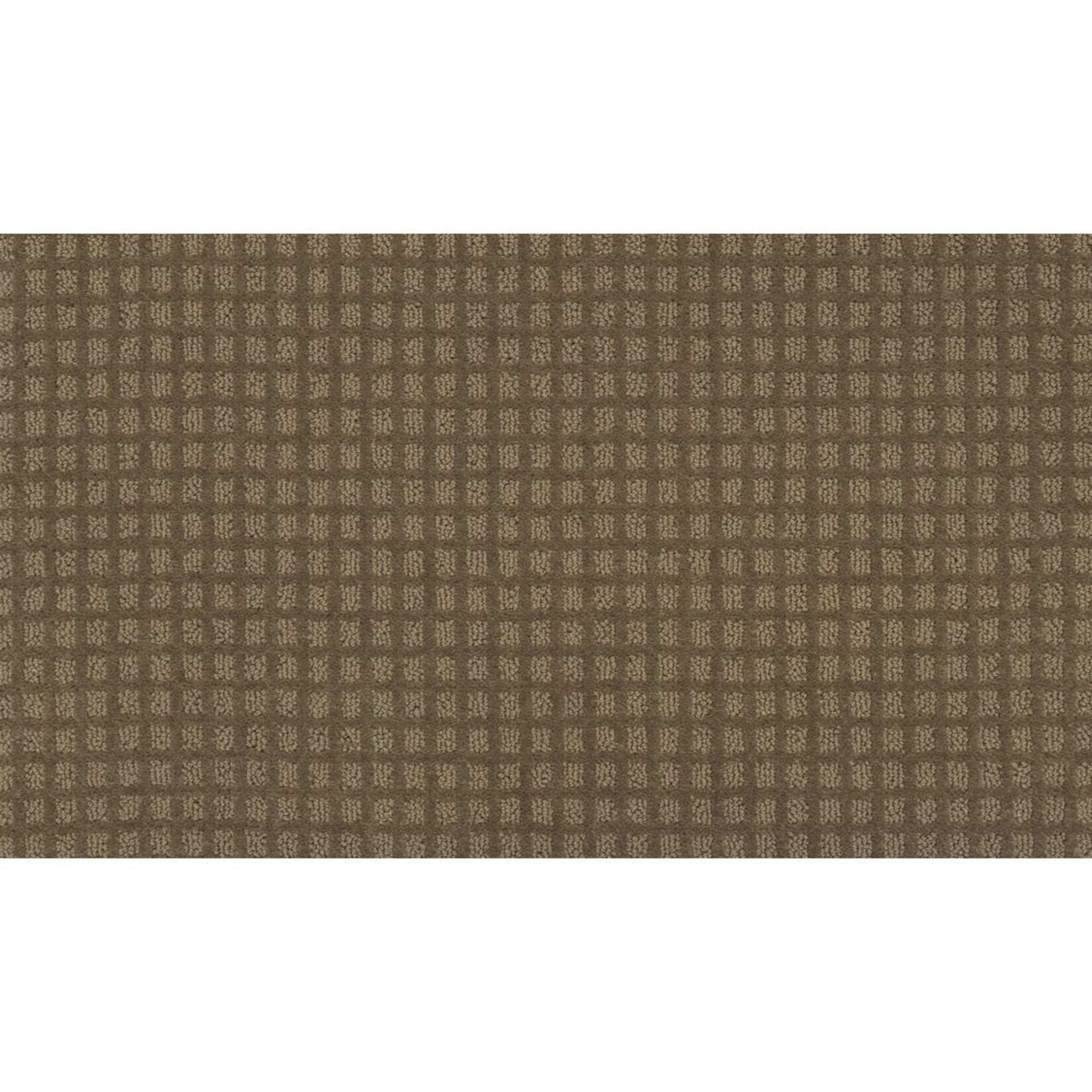 Magnetic Form Ii