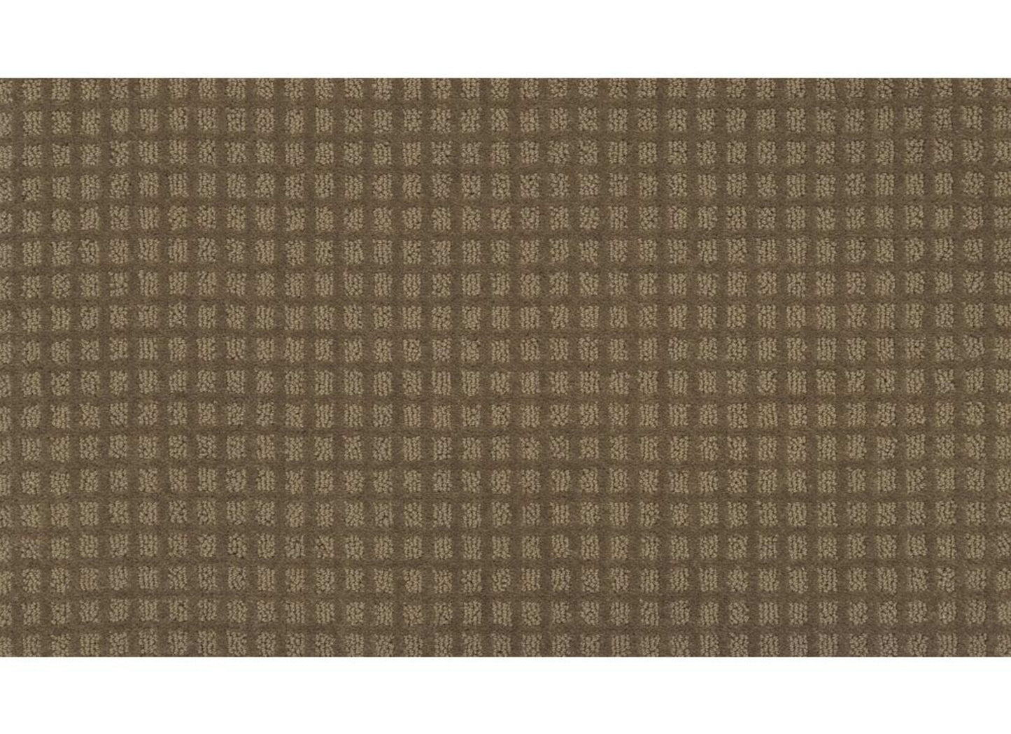 Magnetic Form Ii