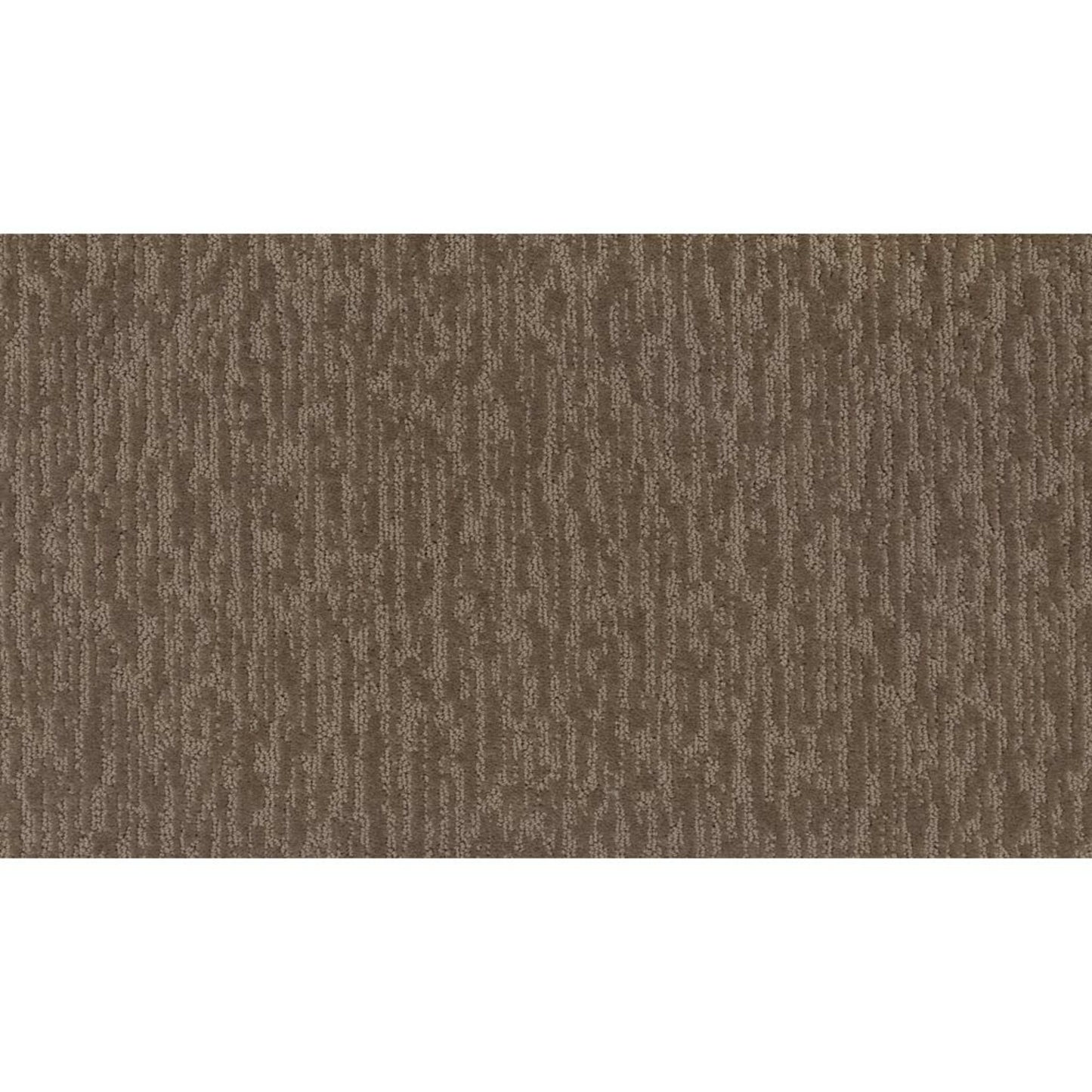 Dynamic Design II in Sonora Carpet
