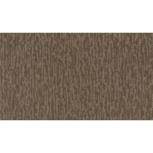 Dynamic Design II in Sonora