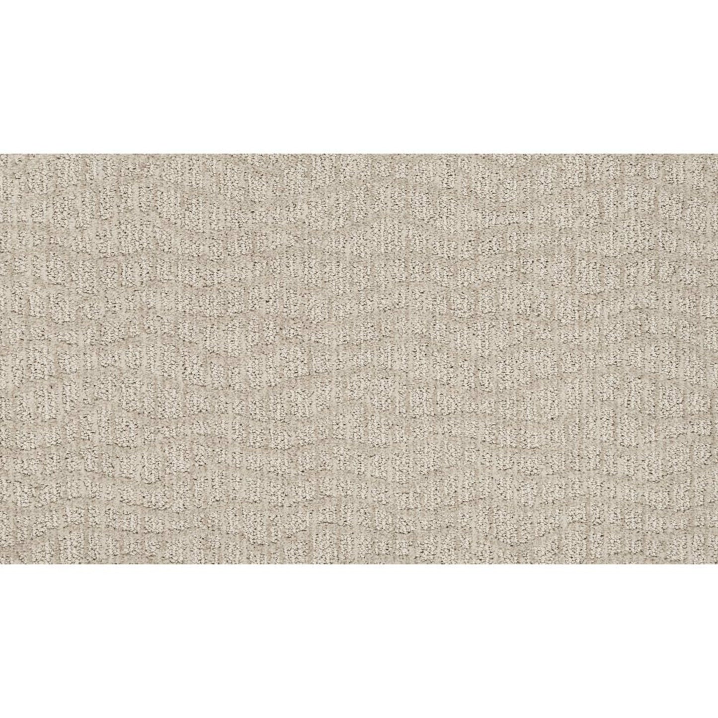 Inspiring Narrative in Wilmington Tan Carpet