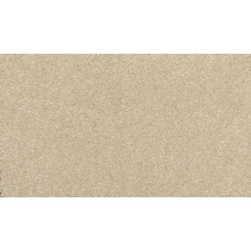 New Statement I in Stone Lion
