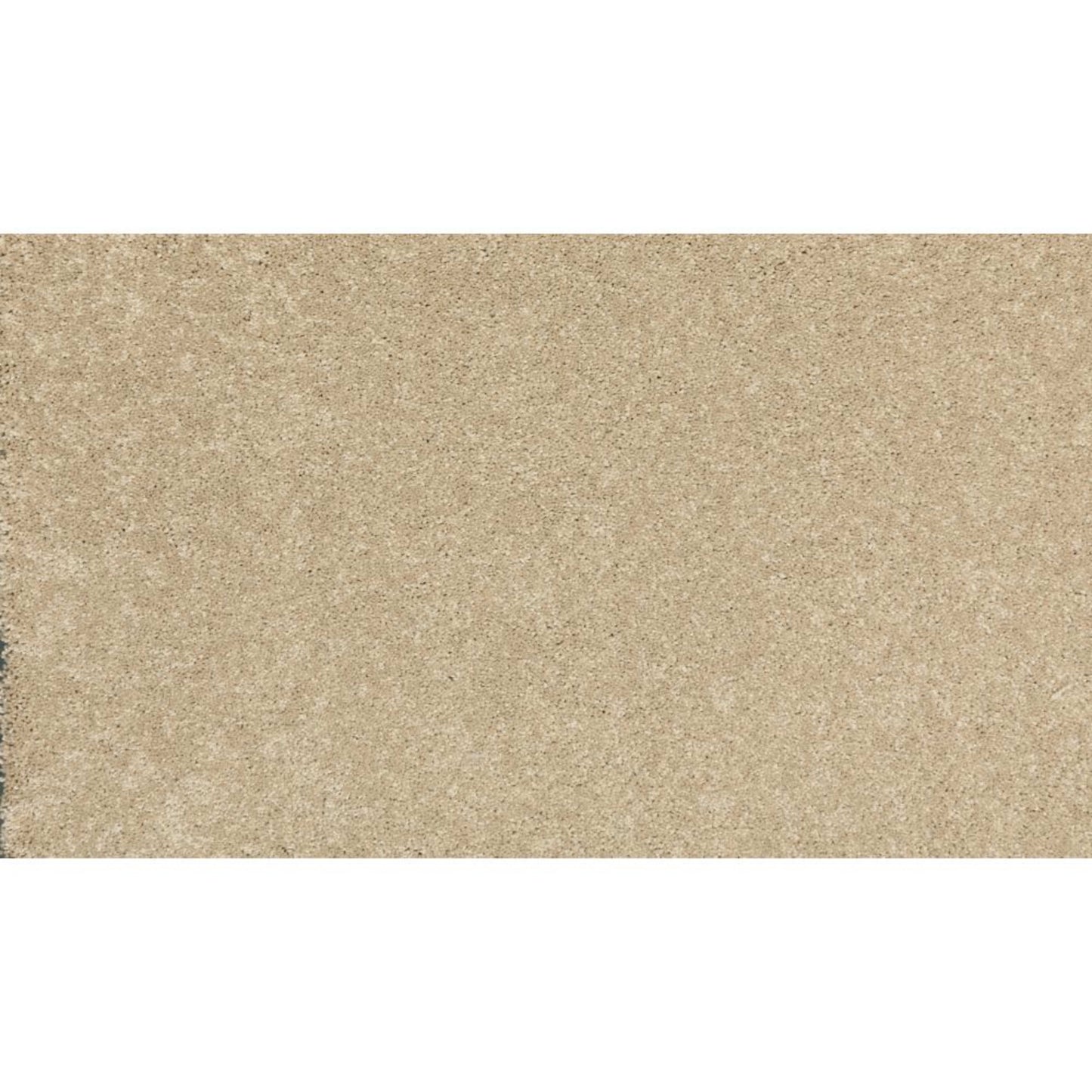 New Statement I in Sedona Carpet
