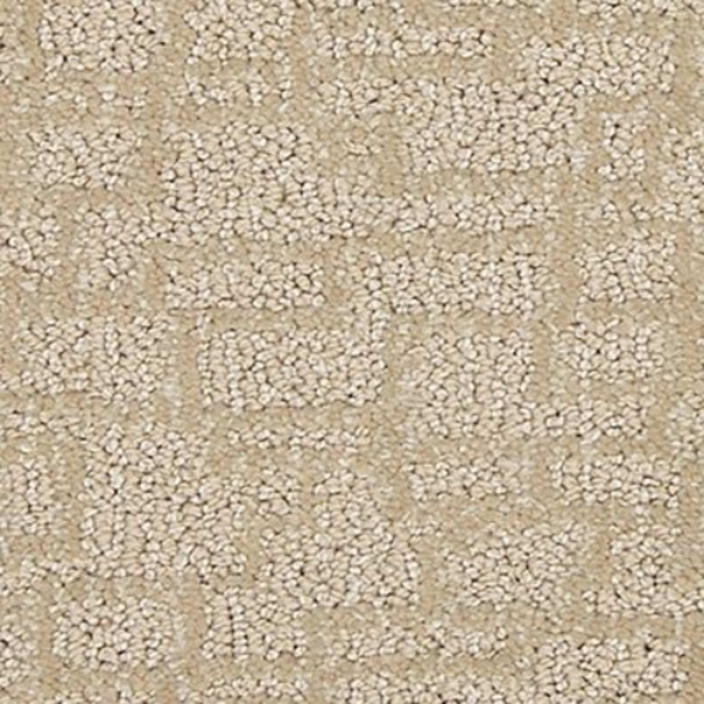 Well Mannered in Frosted Honey Carpet