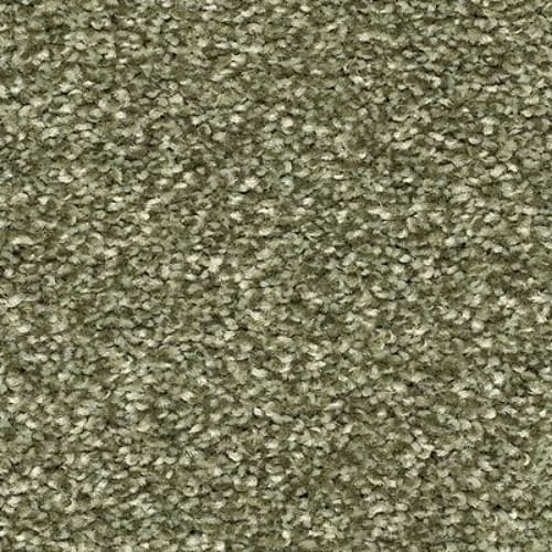 Radiant Surface in Sage