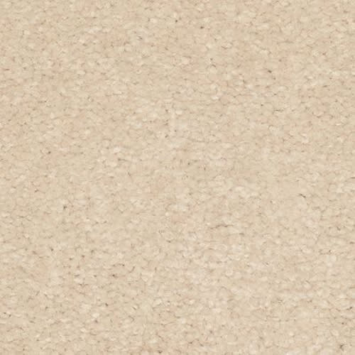 Radiant Surface in Shorescape