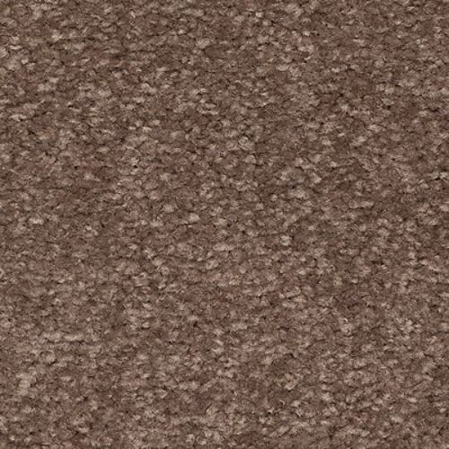 Radiant Surface in Log Cabin