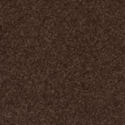 Radiant Tone in Dark Fudge