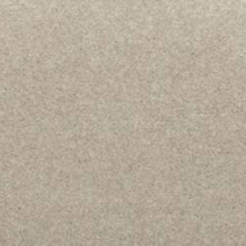 Radiant Tone in Seagull