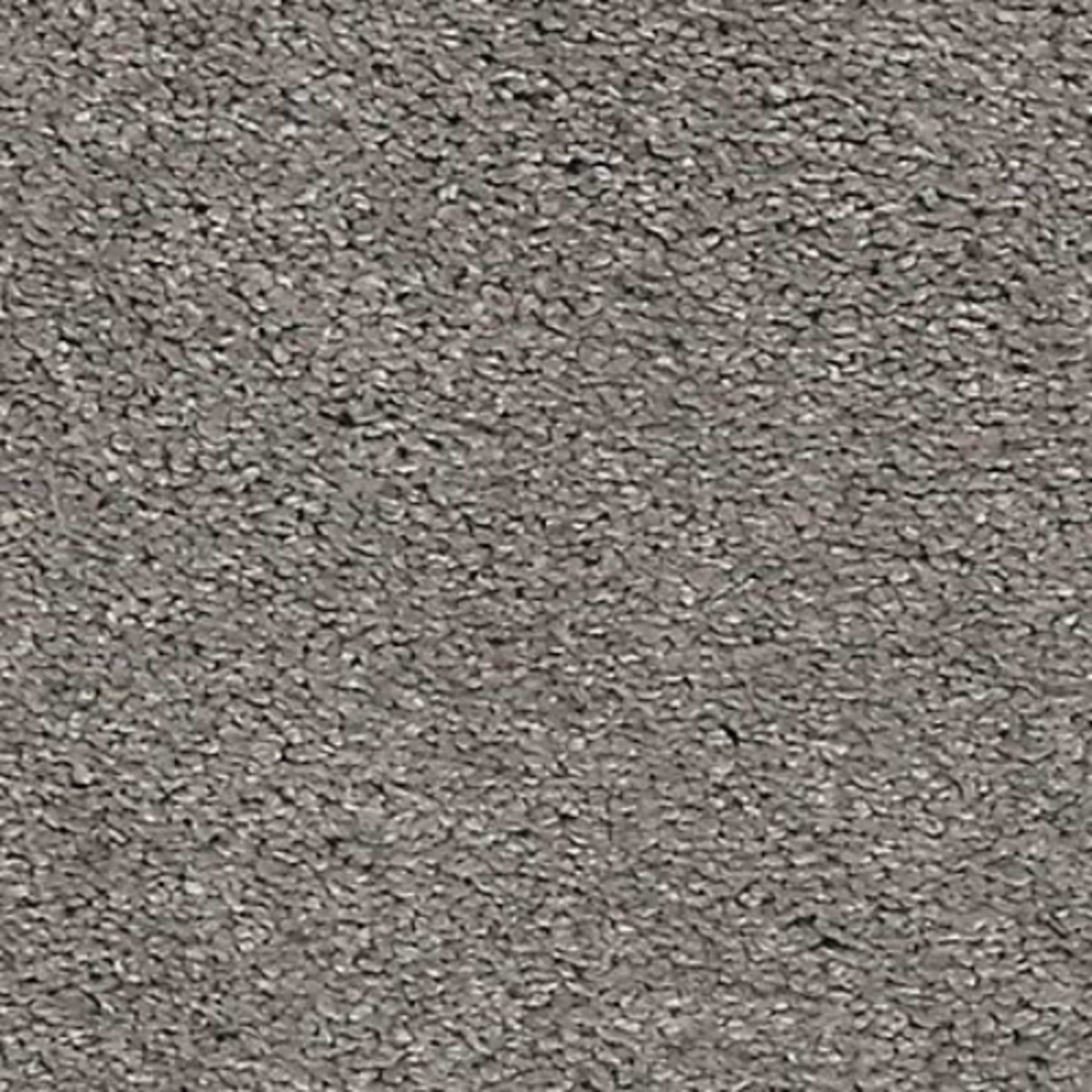 Noble Tone in Morning Dew Carpet