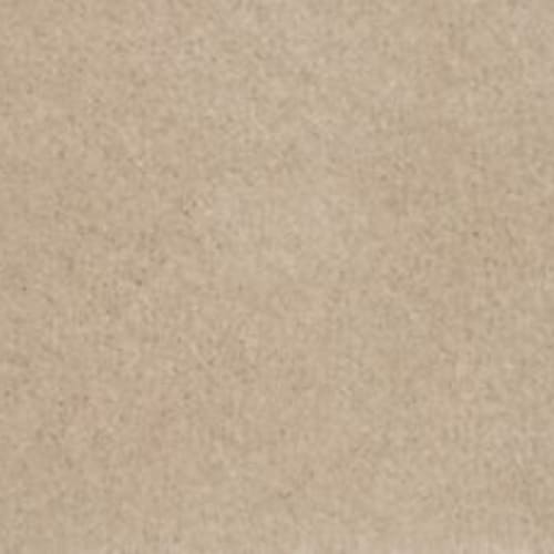 Lifetime Achiever II in Champagne Beige