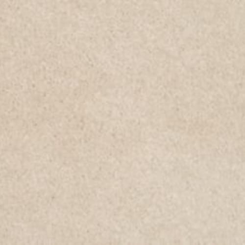 Lifetime Achiever II in Linen