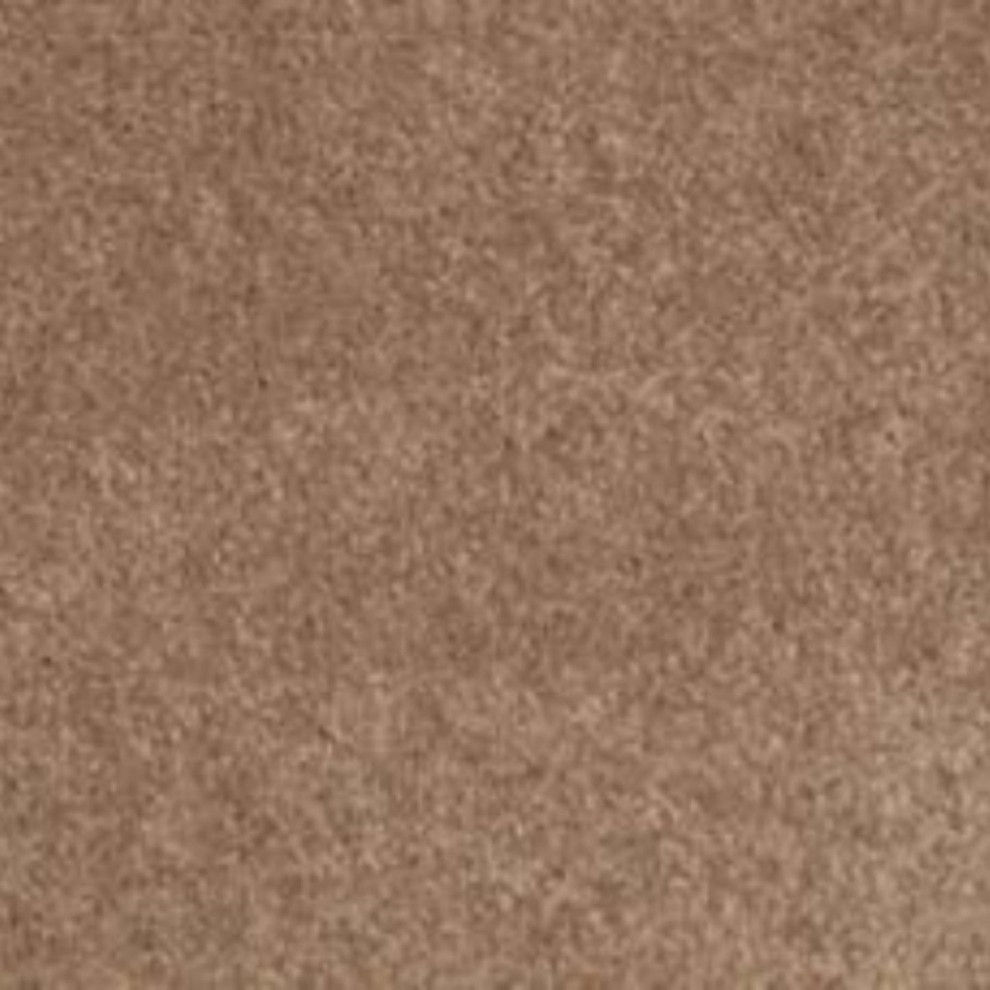 Lifetime Achiever II in Wheat Carpet