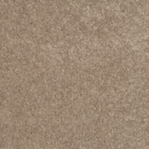 Lifetime Achiever II in Fawn