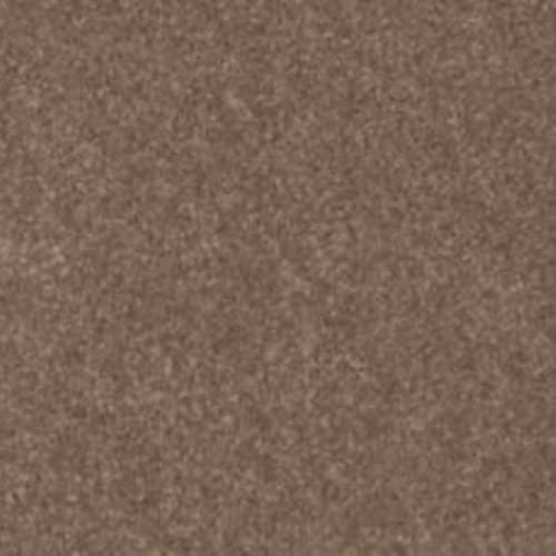 Lifetime Achiever II in Toffee
