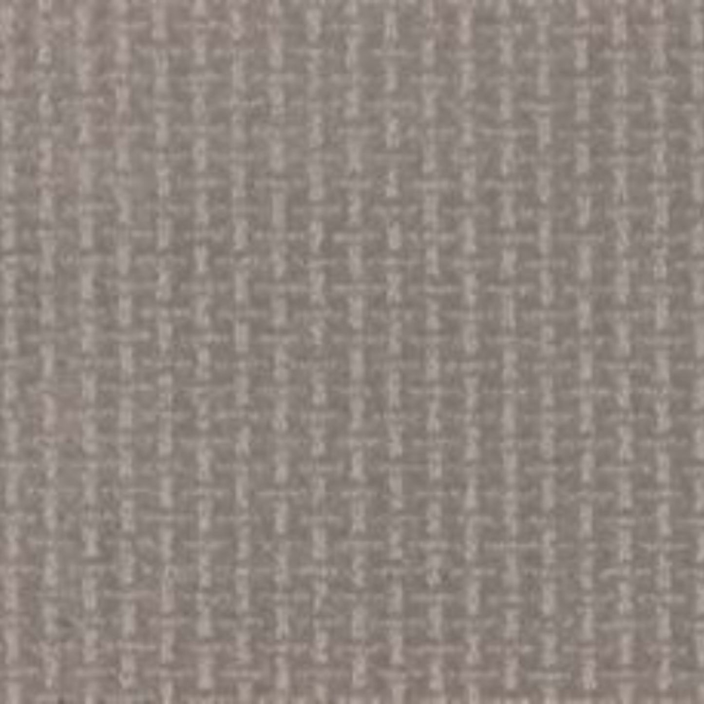 Radiant View in Rough Stone Carpet