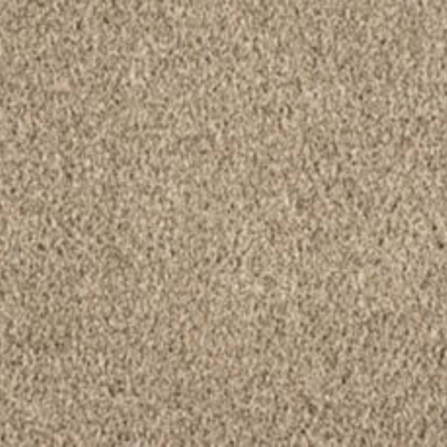 Noble View in Shorescape Carpet