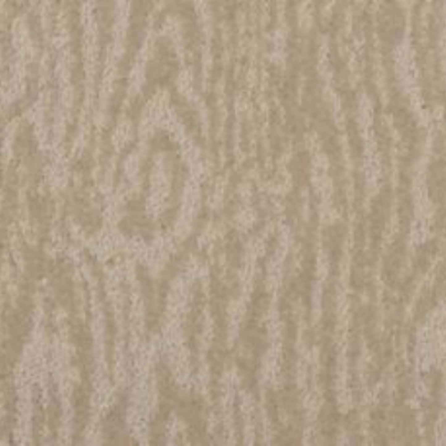 Timber View in Granite Carpet