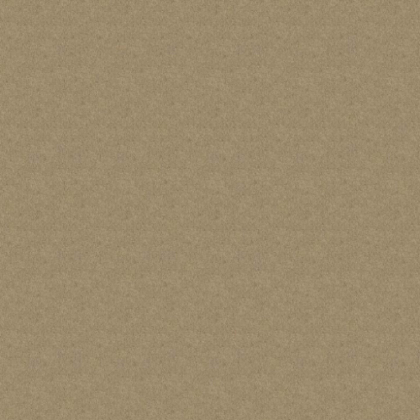 Iconic Look II in Flax Seed Carpet