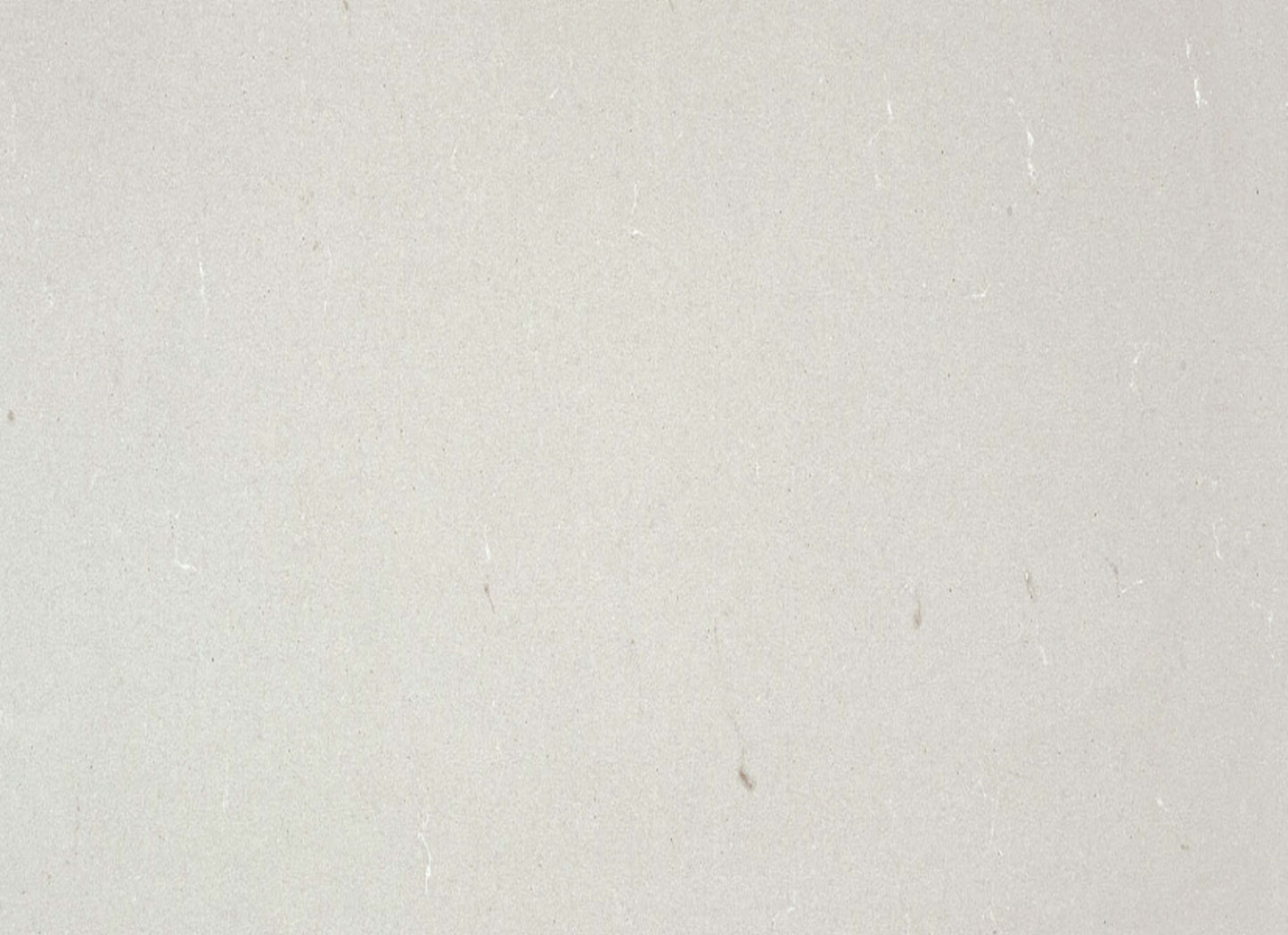 Quartz Countertop in Fresh Concrete
