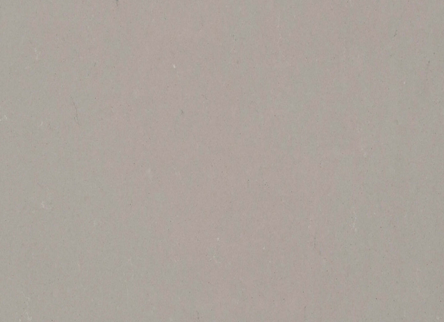 Quartz Countertop in Raw Concrete