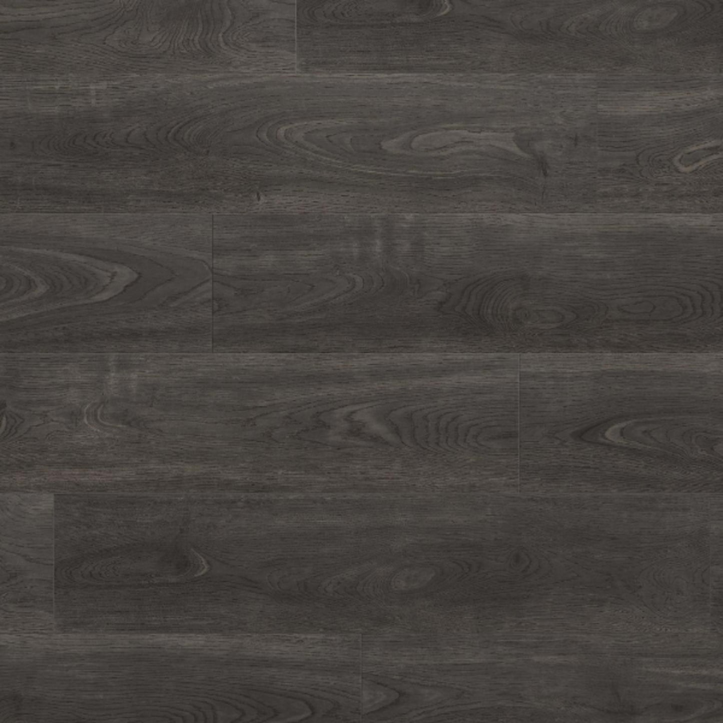 Montane Trail in Nolan P Laminate