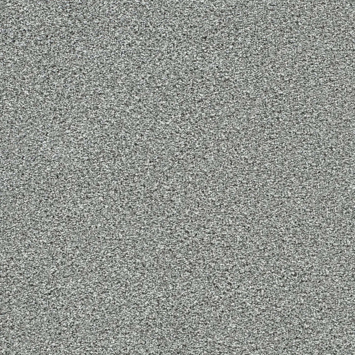 Lucky Penny I in Sky Ridge Carpet