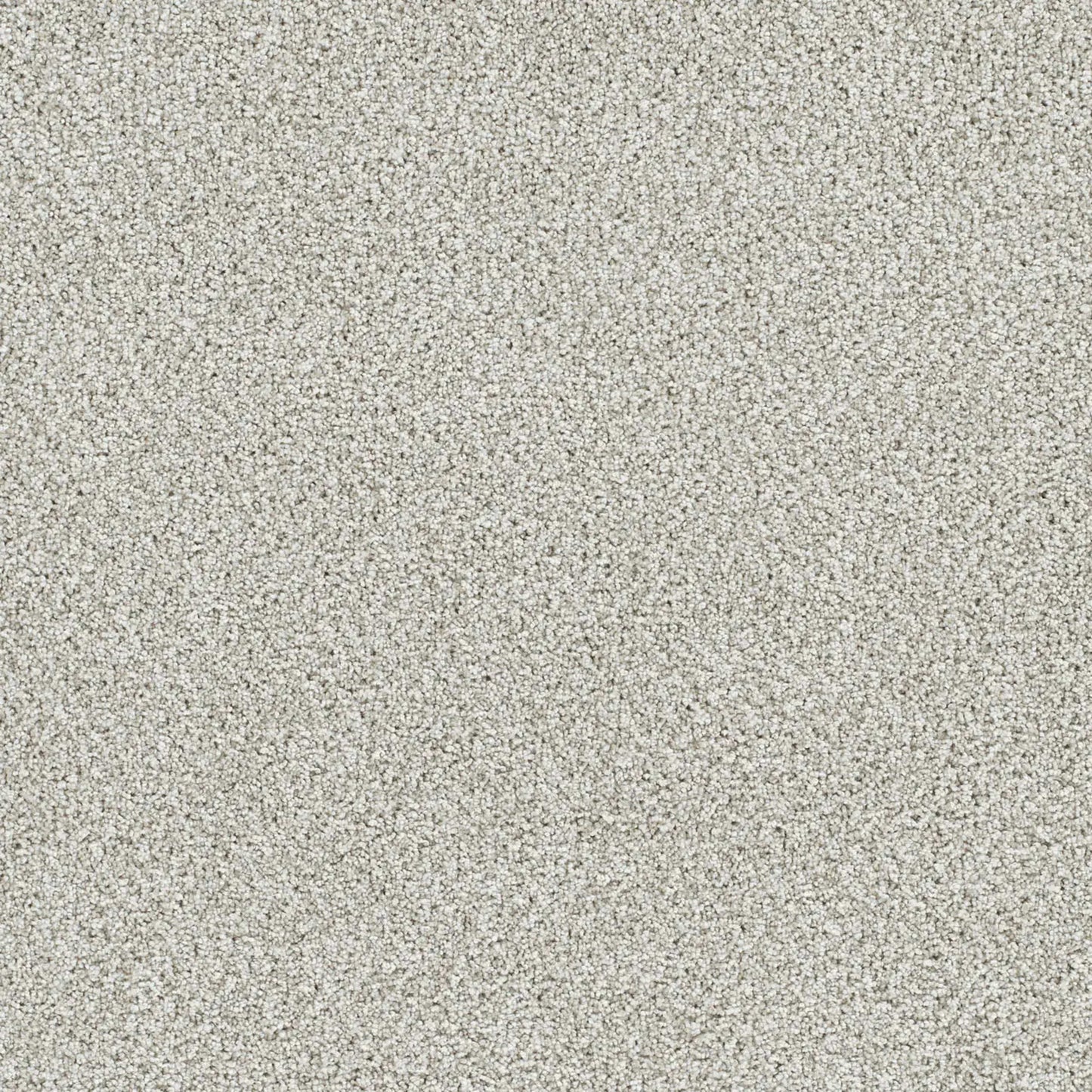 Lucky Penny II in Vera Cruz Carpet