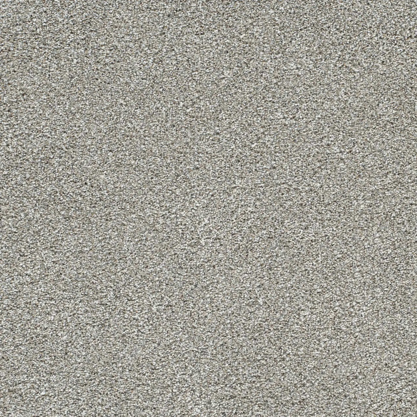 Lucky Penny III in Frost Carpet