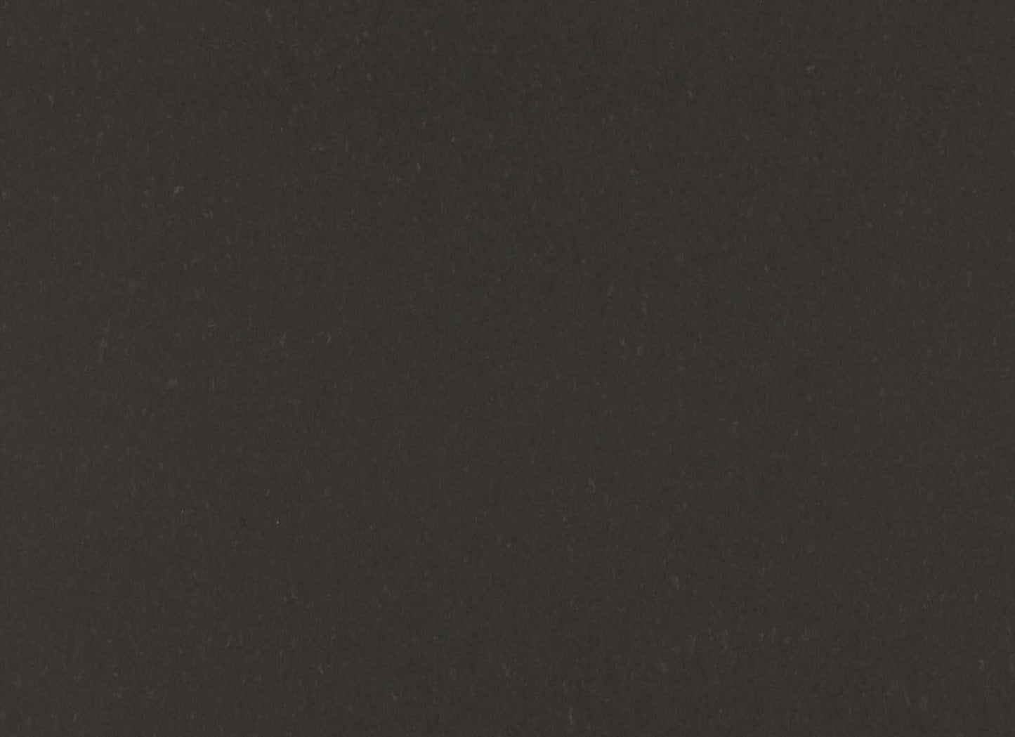 Quartz Countertop in Raven