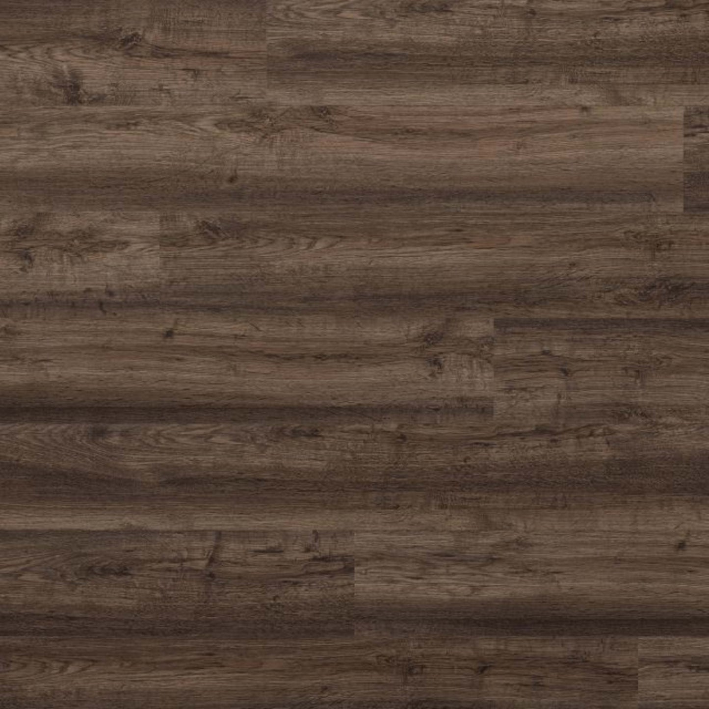 Anchor in Sessilee Luxury Vinyl