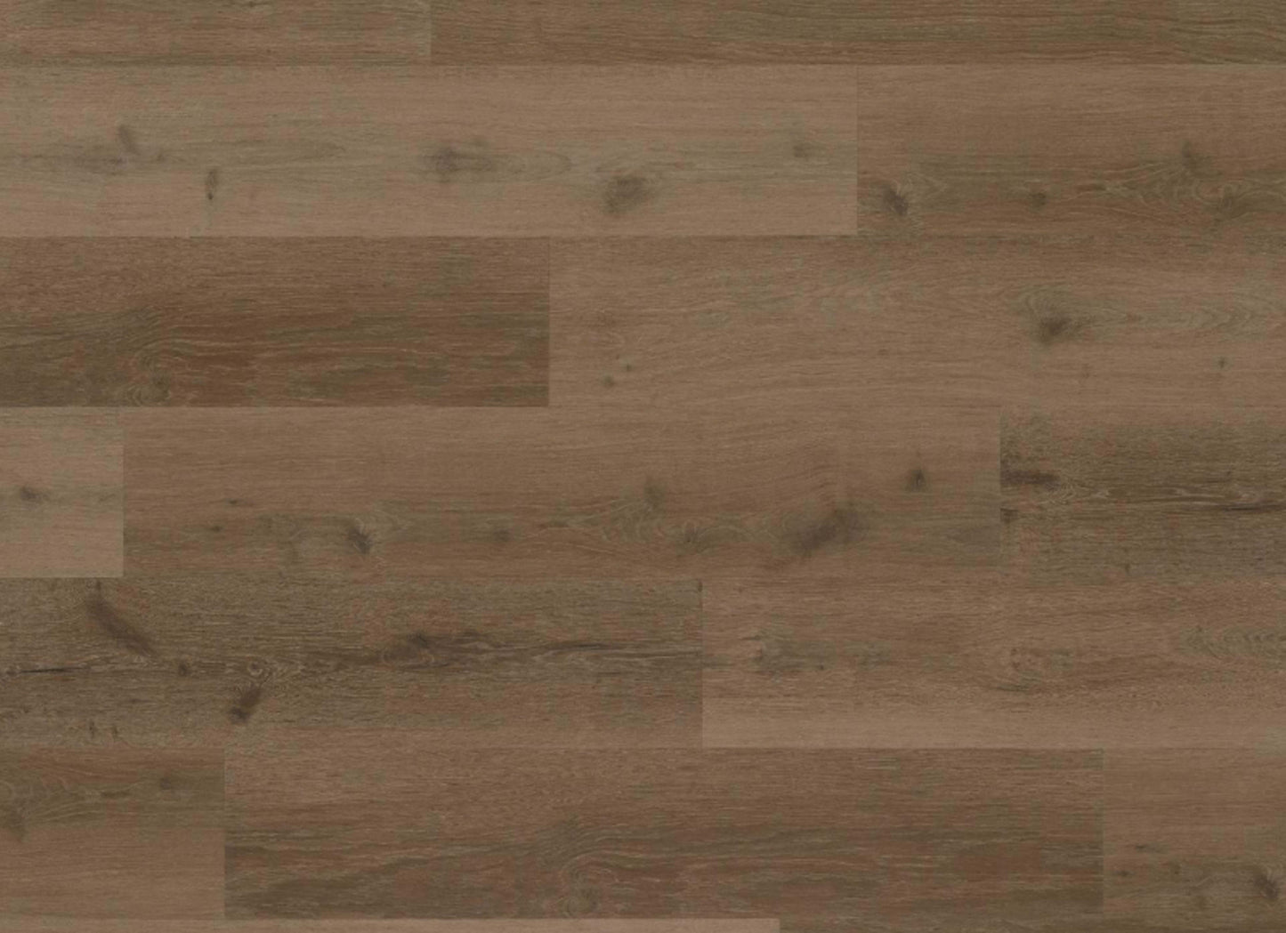 Coffeehouse 2 in Mocha
