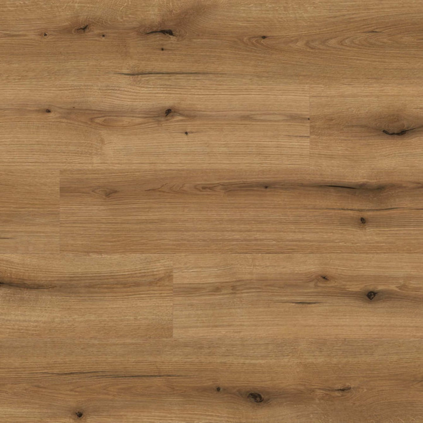 TimbrCORE - Salzburg Collection in Honeypot Laminate