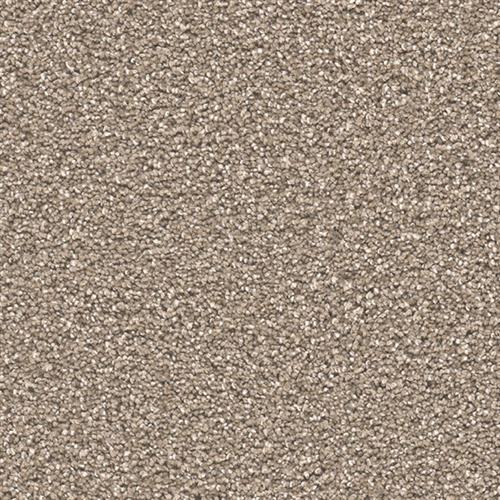 STUNNING in Acorn