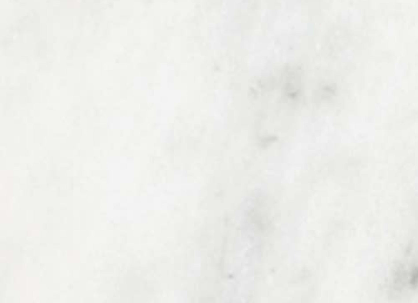 Bianco Venatino in Polished 3x6