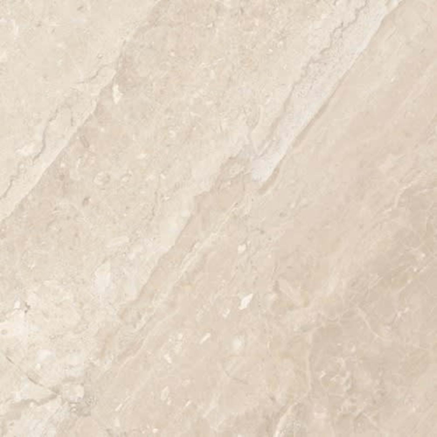 Impero Reale in Polished 12x24 Natural Stone
